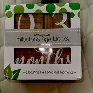 Milestone age blocks